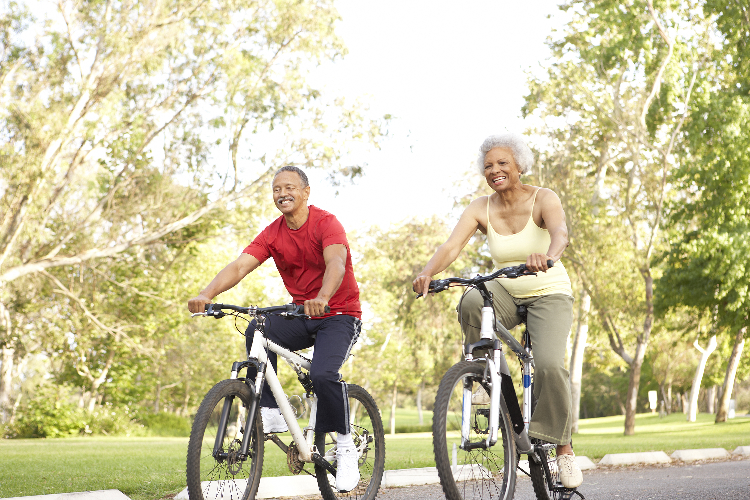 Therapy bikes for sales adults